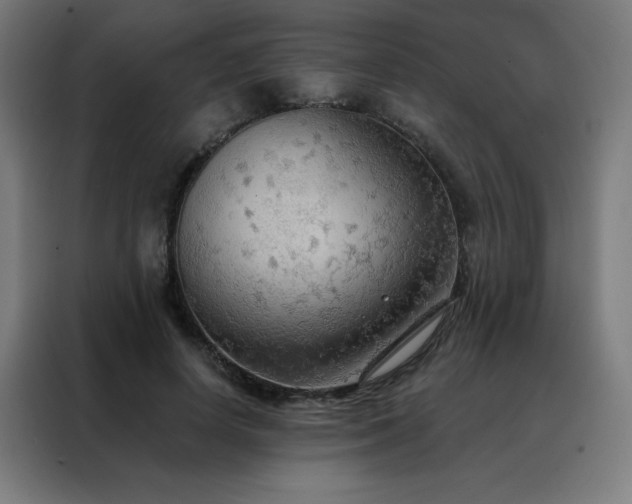 X0000088390642200705221115