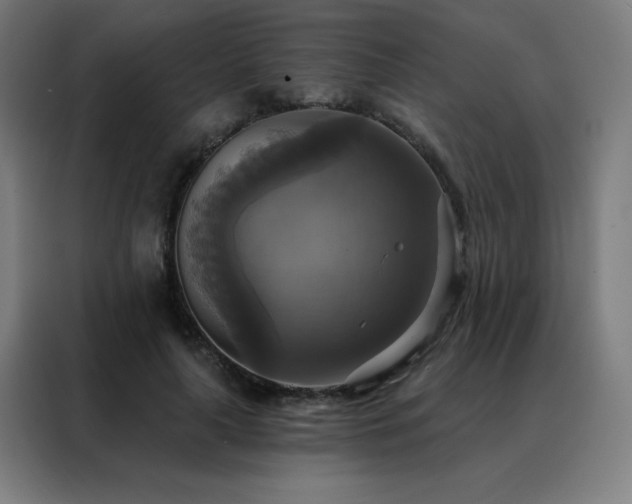 X0000088390643200705221115