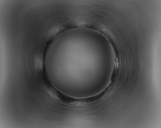 X0000088390644200705221115