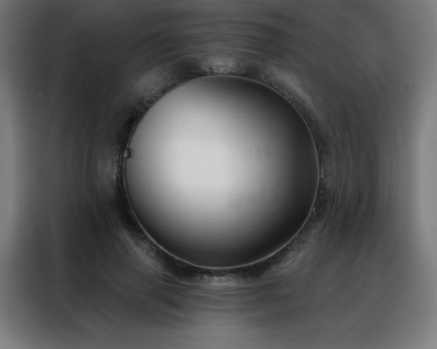 X0000088390645200705221115