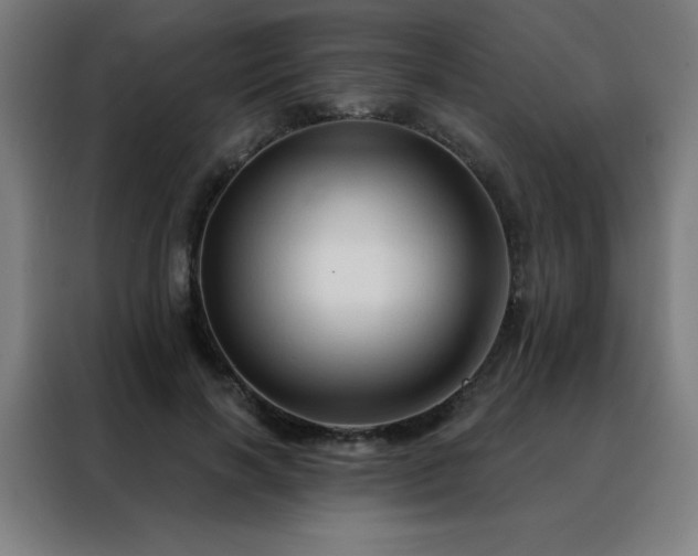 X0000088390646200705221115