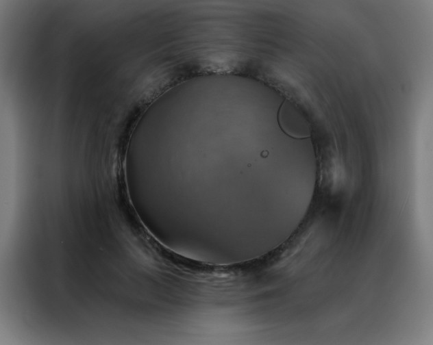 X0000088390647200705221115