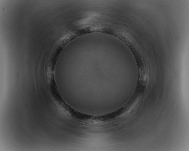 X0000088390648200705221115