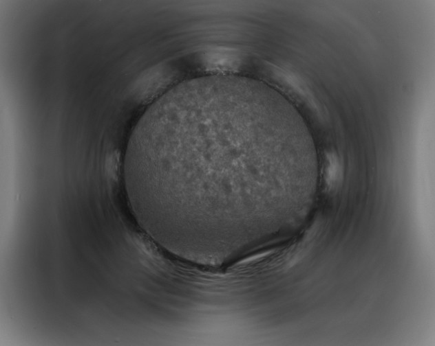 X0000088390649200705221115