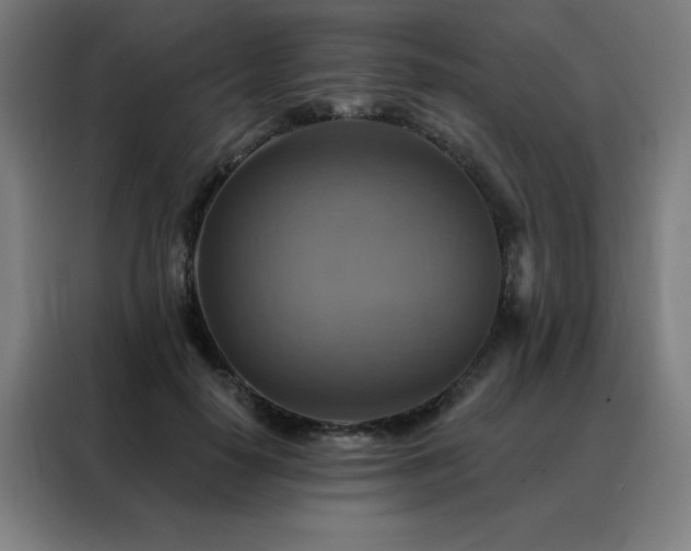 X0000088390650200705221115