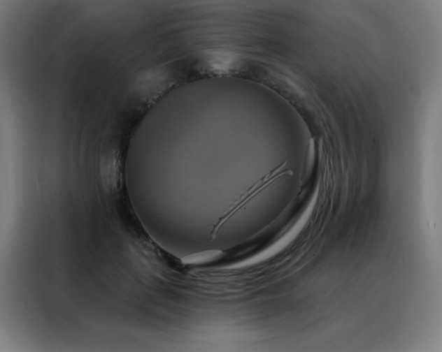 X0000088390651200705221115