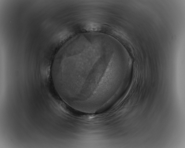 X0000088390652200705221115