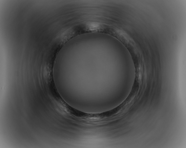 X0000088390653200705221115