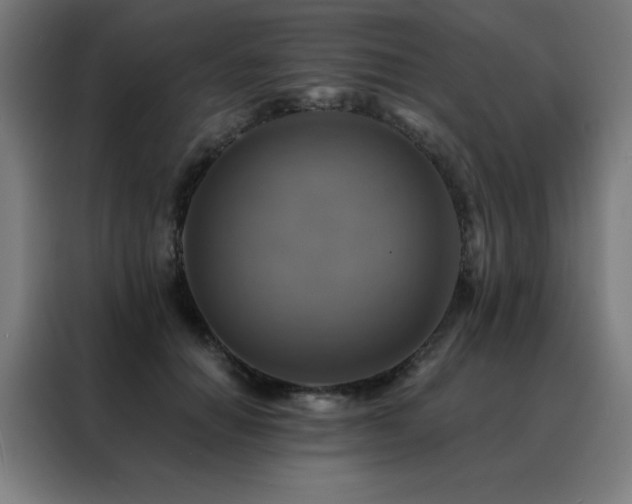 X0000088390654200705221115