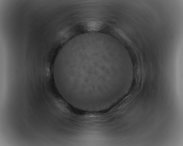 X0000088390655200705221115