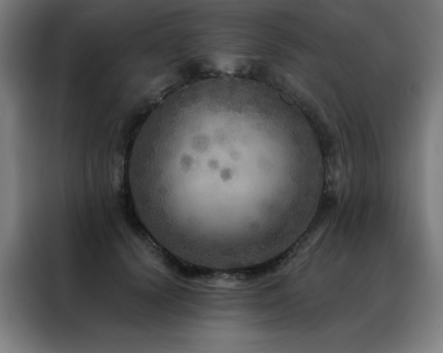 X0000088390656200705221115