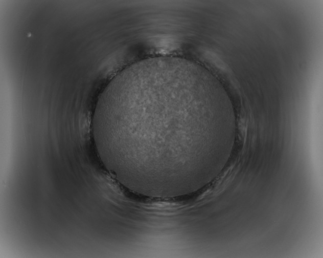 X0000088390657200705221115