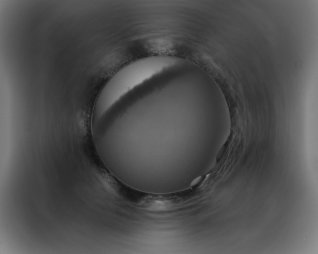 X0000088390658200705221115