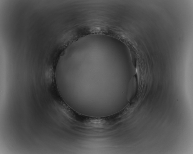 X0000088390659200705221115