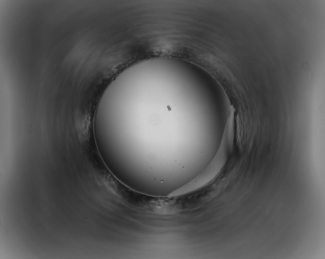 X0000088390660200705221115