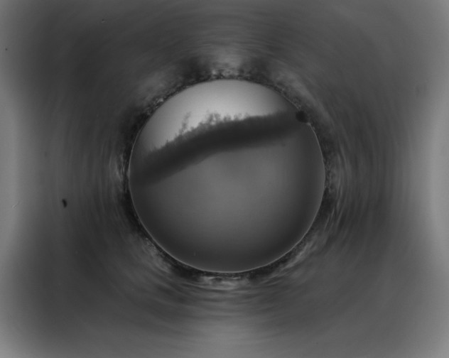 X0000088390661200705221115