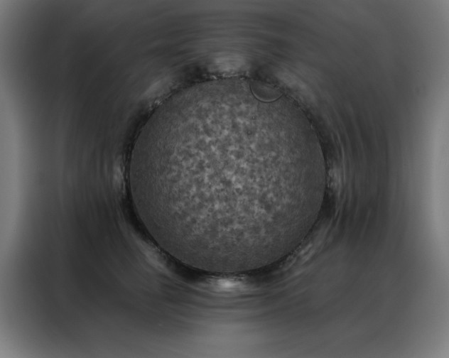 X0000088390662200705221115