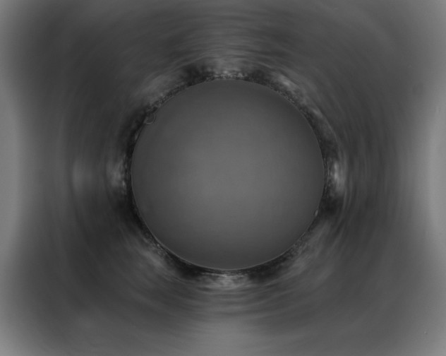 X0000088390663200705221115