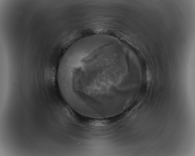 X0000088390664200705221115