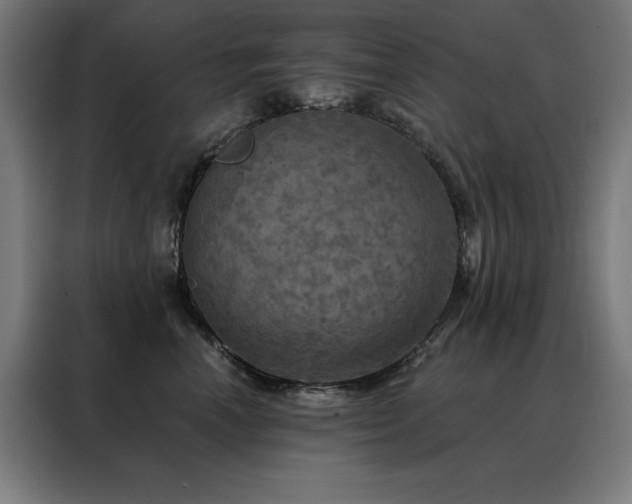 X0000088390666200705221115