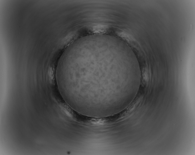 X0000088390667200705221115