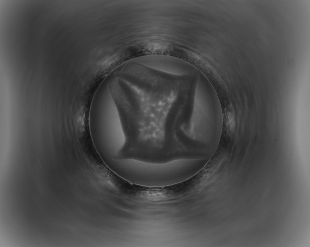 X0000088390668200705221115