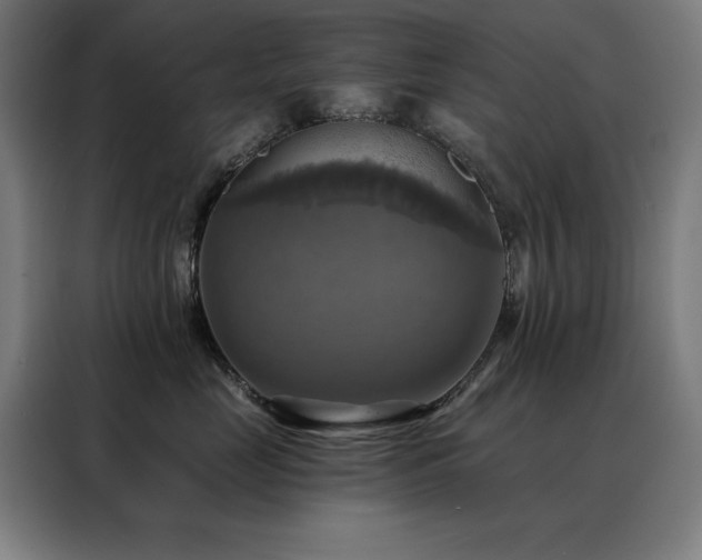 X0000088390669200705221115