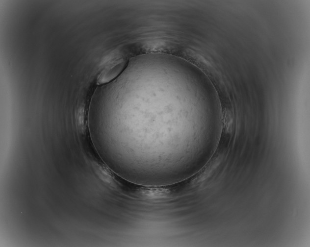 X0000088390670200705221115