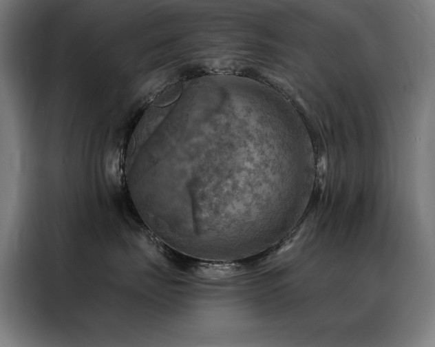 X0000088390671200705221115