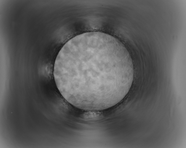 X0000088390672200705221116