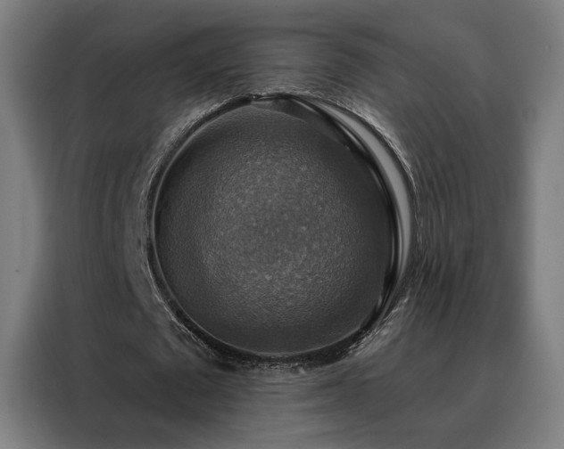 X0000088390673200705221115