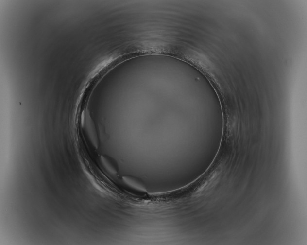 X0000088390674200705221115