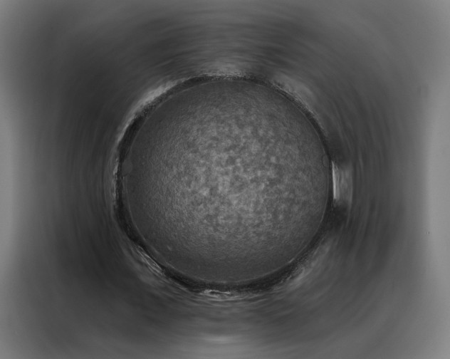 X0000088390675200705221115