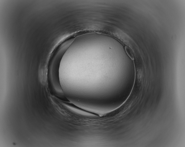 X0000088390676200705221115