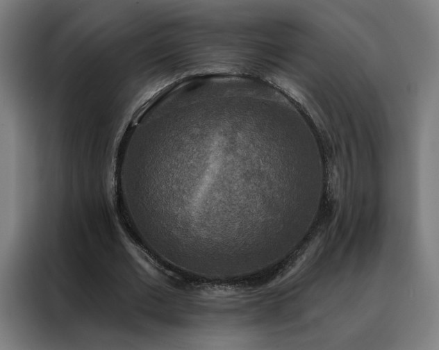 X0000088390677200705221115