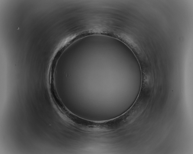 X0000088390678200705221115