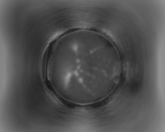 X0000088390679200705221115