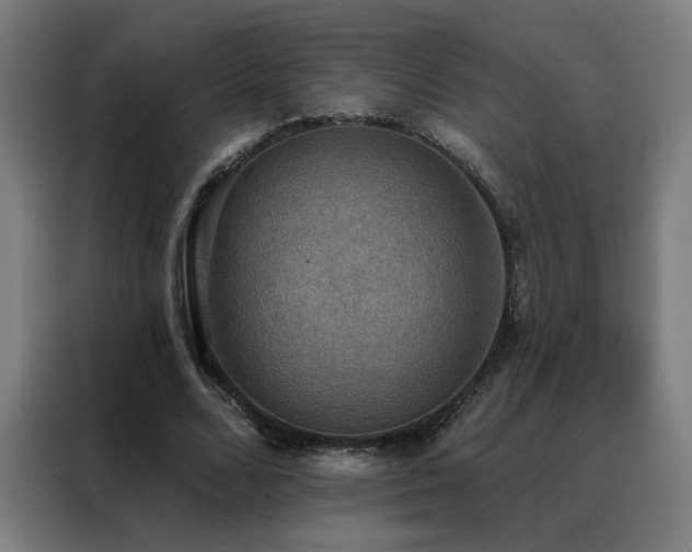 X0000088390680200705221115