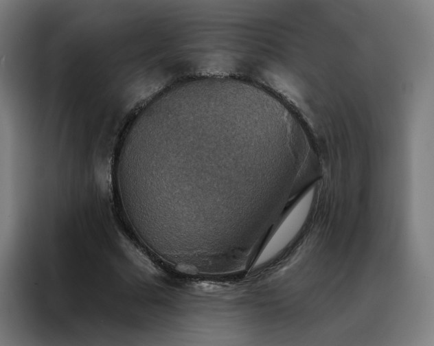 X0000088390681200705221115