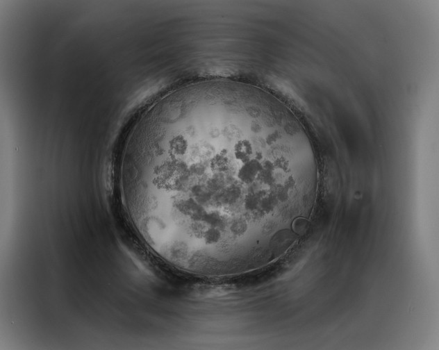 X0000088390683200705221115