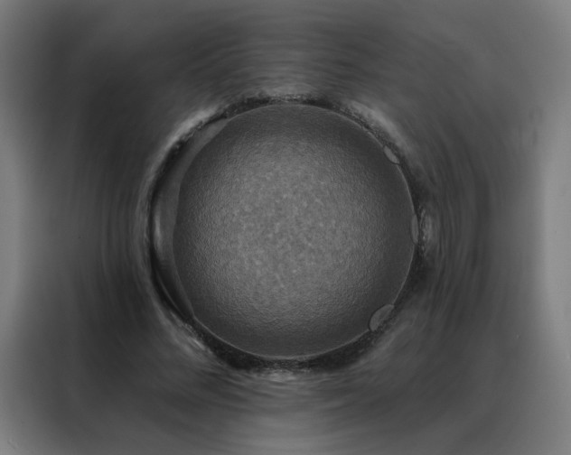 X0000088390684200705221115