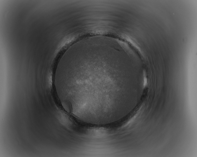 X0000088390685200705221115