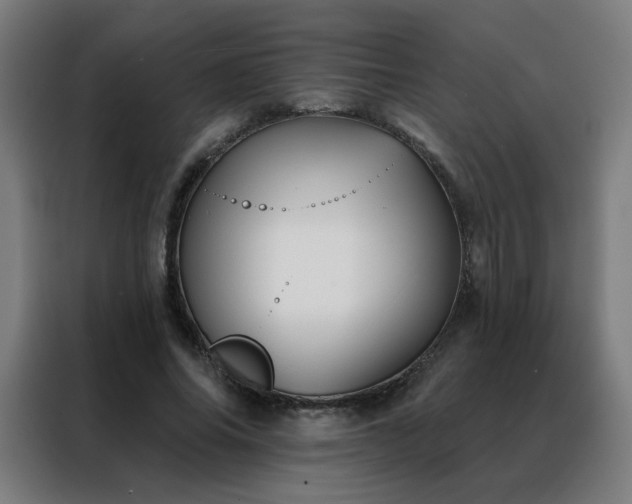 X0000088390686200705221115