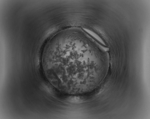 X0000088390687200705221115