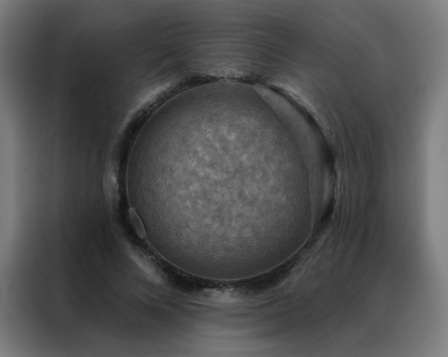 X0000088390688200705221115