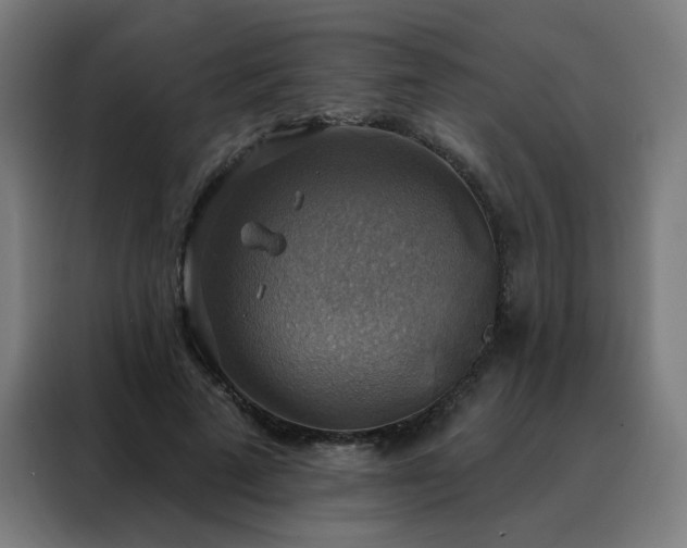 X0000088390689200705221114