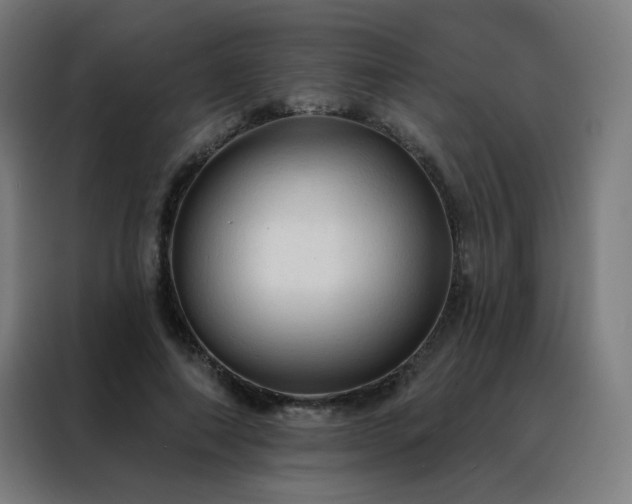 X0000088390690200705221114