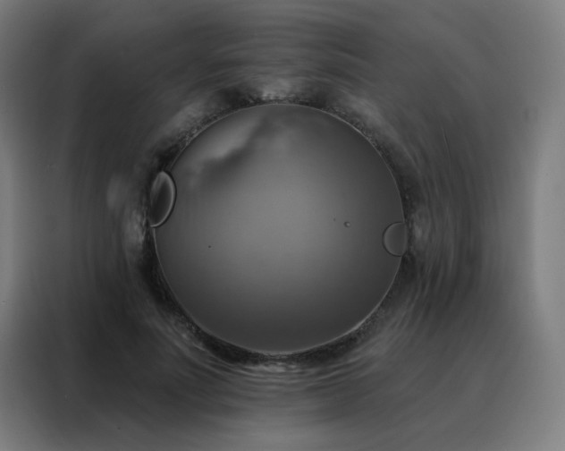 X0000088390691200705221114