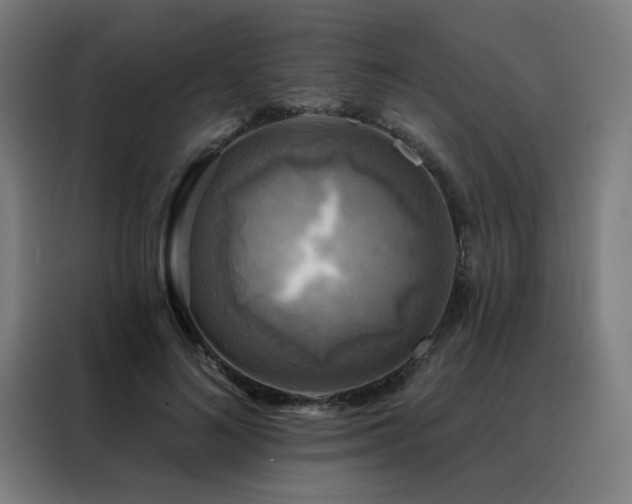 X0000088390692200705221114