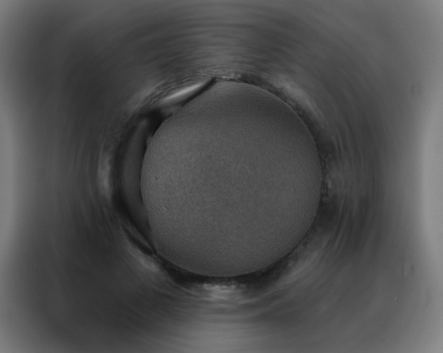 X0000088390693200705221114